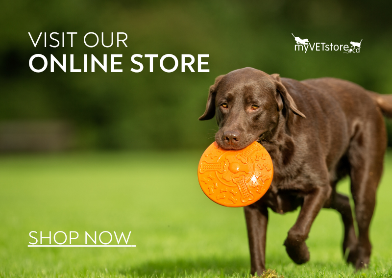 Carousel Slide 1: Shop Our Online Store