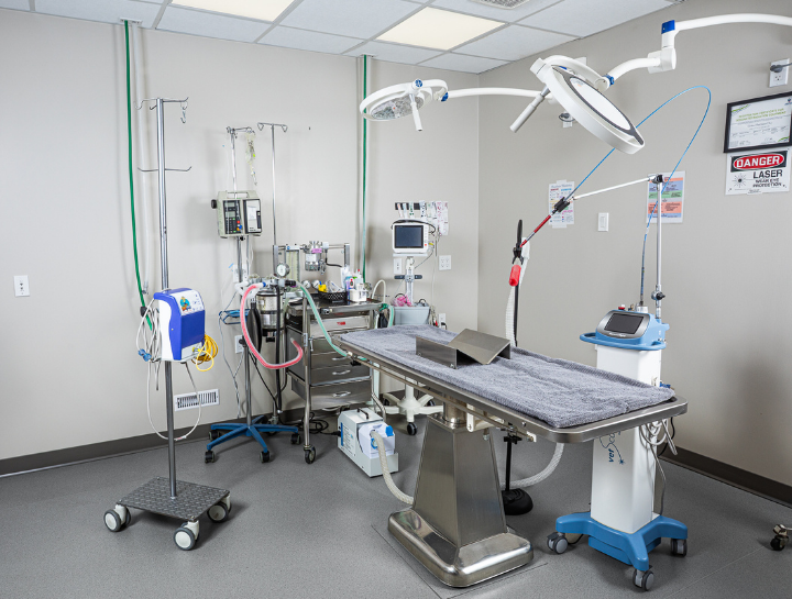 $City Veterinary Surgeries