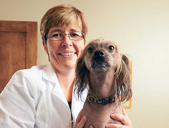 Dog Veterinarian in $city