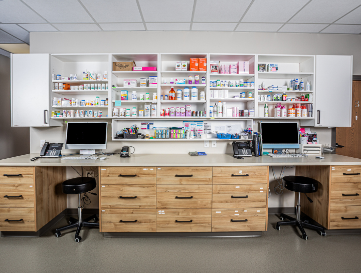 Pet Skin Allergies: scabs